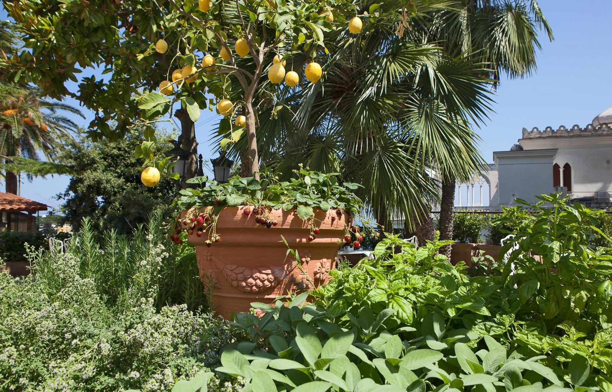 Luxury Villa Excelsior Parco Capri Exterior foto